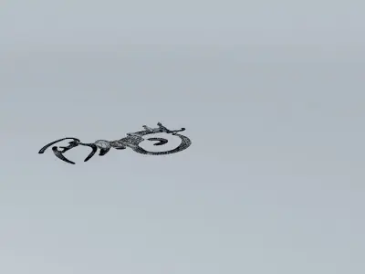 Brazil 3d logo Free 3D model
