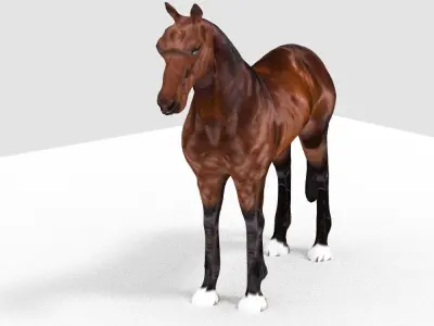 HORSE 3D model
