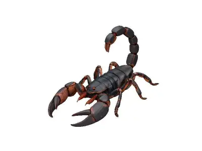 Scorpion Low-poly 3D model