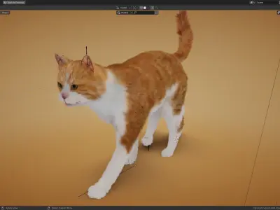 Realistic orange and white cat 3D model