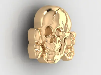 Skull 14 3D print model