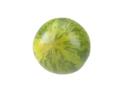 Photorealistic Green Zebra Tomato 3D Scan 3D model