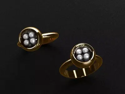 Rings gold and silver ring 3D print model