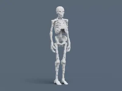 Voxel Skeleton Low-poly 3D model