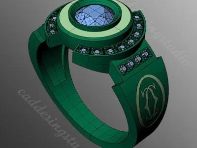 Ring bi133 3D print model