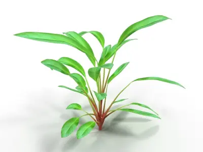 Set of aquarium plants 3D model