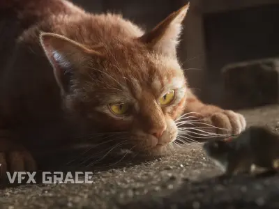 Orange Cat Animated VFX Grace 3D model
