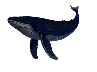 Humpback Whale 3D Printable Model STL OBJ 3D print model