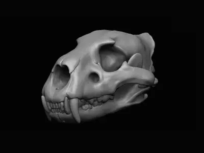 Lion Skull 3D print 3D model