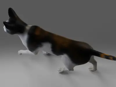 Calico Cat rigged and animated  Low-poly 3D model