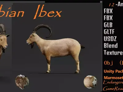 Nubian Ibex Goat Low-poly 3D model