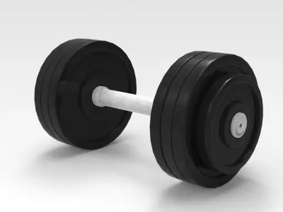 Dumbbell pair of dumbbells 3D model