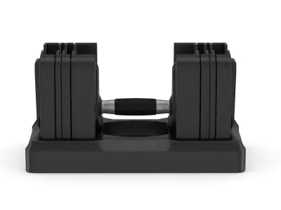 Bowflex SelectTech 560 Dumbbells 3D model