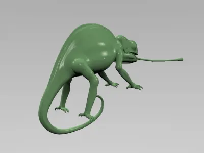 chameleon chamelon 3D model