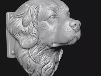 Berner sennenhond 3D print model