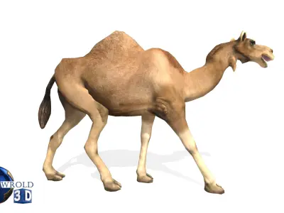 Camel Rigged Animated Lowpoly 3d model Low-poly 3D model