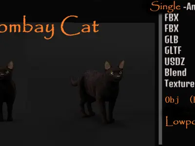 Bombay Cat Low-poly 3D model