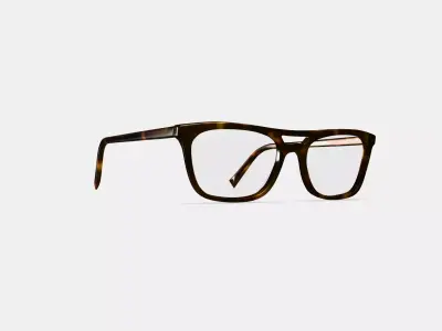 Benicio Eyeglasses in Ristretto Tortoise 3D model