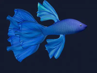 3D Fish Model  Cartoon Sea Creatures  3D model