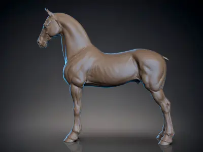 Horse Friesian - TPose 3D model