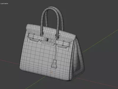 Hermes Birkin Lizard leather 3D Handbag Model Low-poly 3D model