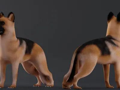 Dog German Shepherd Low Poly Model Game AR VR Low-poly 3D model