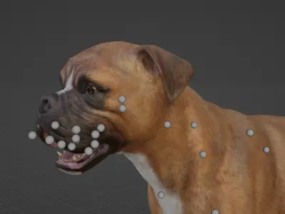 DOG - BOXER  Low-poly 3D model
