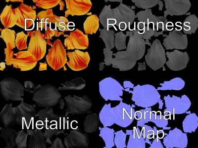 Vibrant Tropical Flower Model Pack Low-poly 3D model