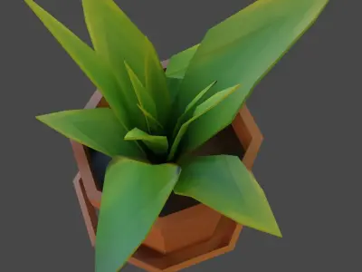 A room plant in a brown pot Free low-poly 3D model