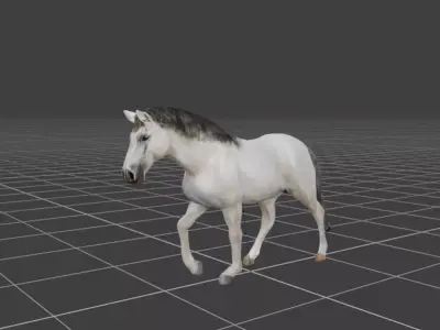 Animated white Horse  Low-poly 3D model