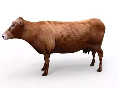 Brown Cow Cattle  Low-poly 3D model