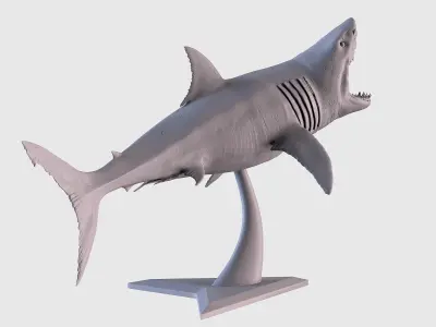 White Shark Statue 3D print model