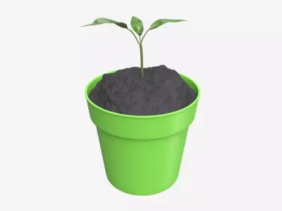 Decorative potted plant 12 3D model