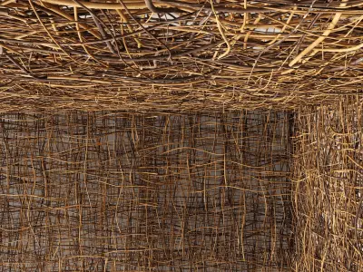 Ceiling canopy branch thin crooked n2 3D model