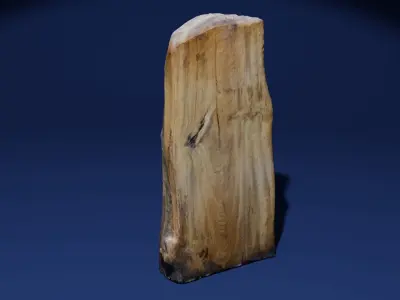 Wood spirit Greenman Sculpture Photoscan Low-poly 3D model