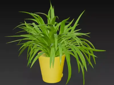 spider plant pot 3D model