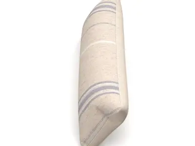 Neptune Grace Cushion 3D model