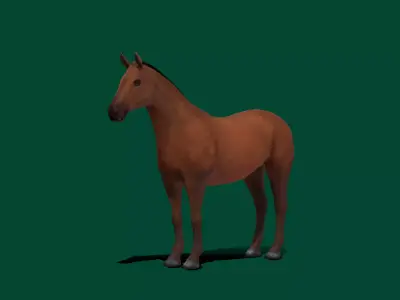American Quarter Horse Animal Low-poly 3D model
