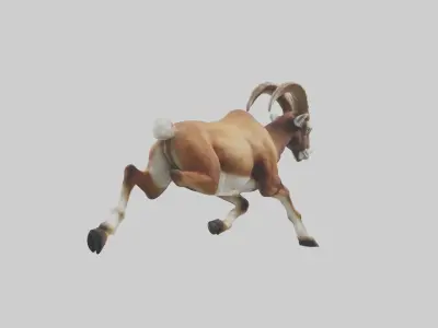 Mouflon running model Low-poly 3D model