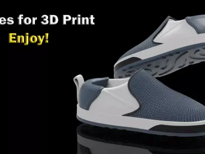 Men Shoes for 3D Print 3D print model
