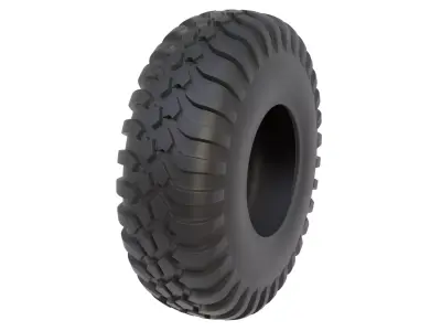 Tire 22 3D model