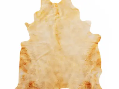 Nine Rugs From Animal Skins 09 3D model