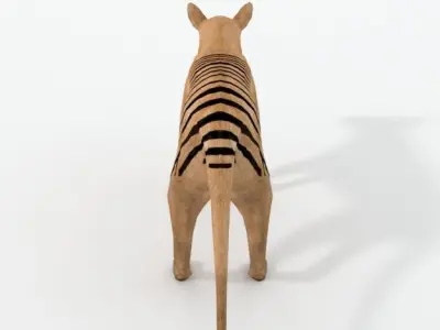 Tasmanian Tiger Low-poly 3D model