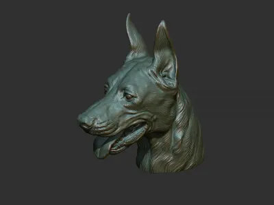 Doberman head 3D print model
