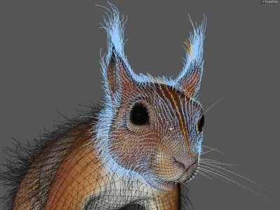 squirrel 3D model