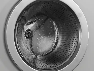 Bosch Wahing Machine Low-poly 3D model