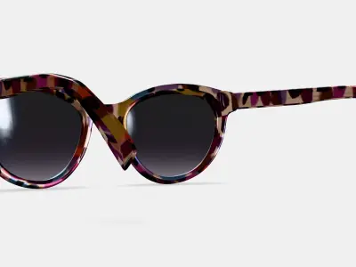 Raina Sunglasses in Confetti Tortoise 3D model