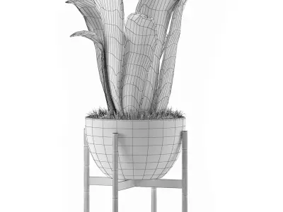 House Plant 25 3D model