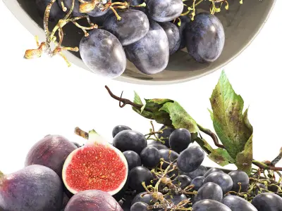 bowl of figs and black grapes 3D model