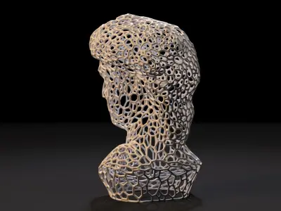 Statue Of David Michelangelo Head 3D print model